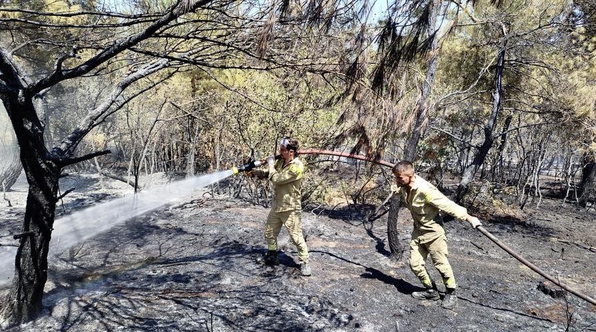Sinop'ta orman yangını! 8 dönüm alan zarar gördü