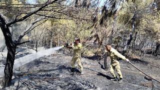 Sinop'ta orman yangını! 8 dönüm alan zarar gördü