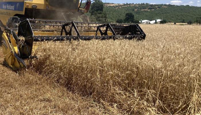 20637320-700x400 Kavak'ta ekin hasadı başladı