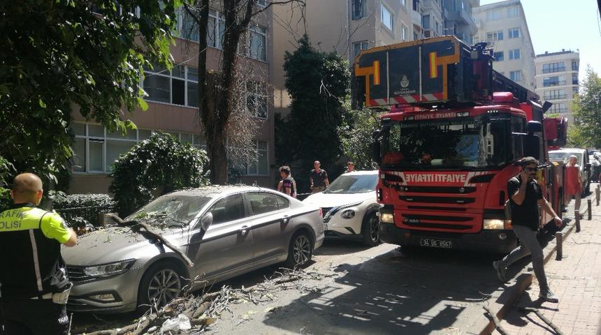 Şişli'de ağaçtan kopan dallar park halindeki otomobile zarar verdi