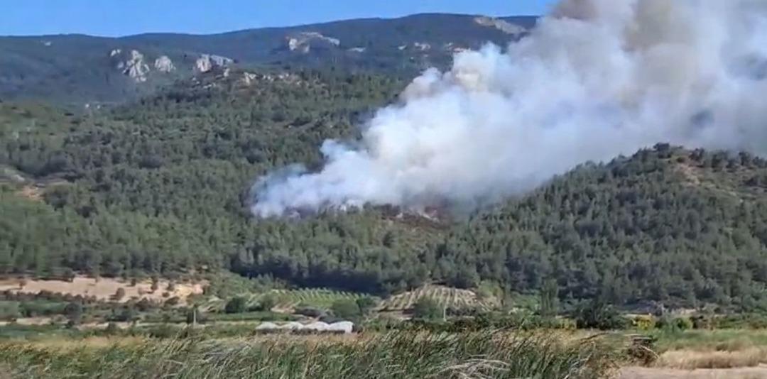 Sakarya da orman yangını! Müdahale sürüyor: Bir mahalle tahliye edildi 1