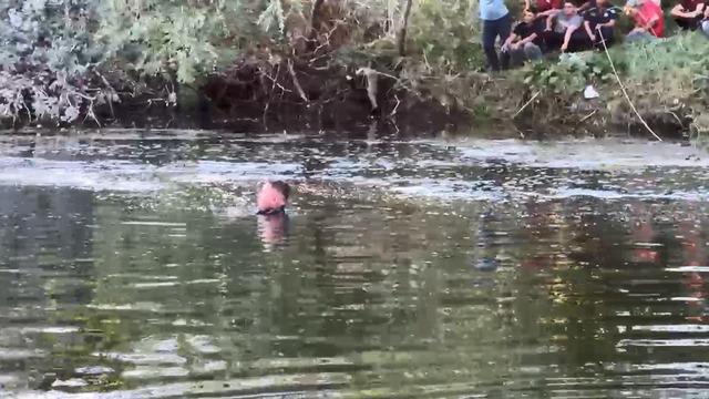 Eskişehir’de acı olay! Sakarya Nehri’ne giren 2 kişi yaşamını yitirdi