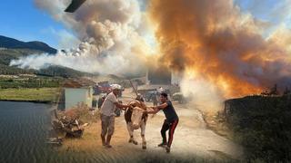 Sakarya'da orman yangını! Müdahale sürüyor: İki mahalle tahliye edildi