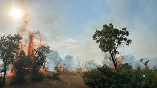 Bingöl’de çıkan orman yangınları söndürüldü