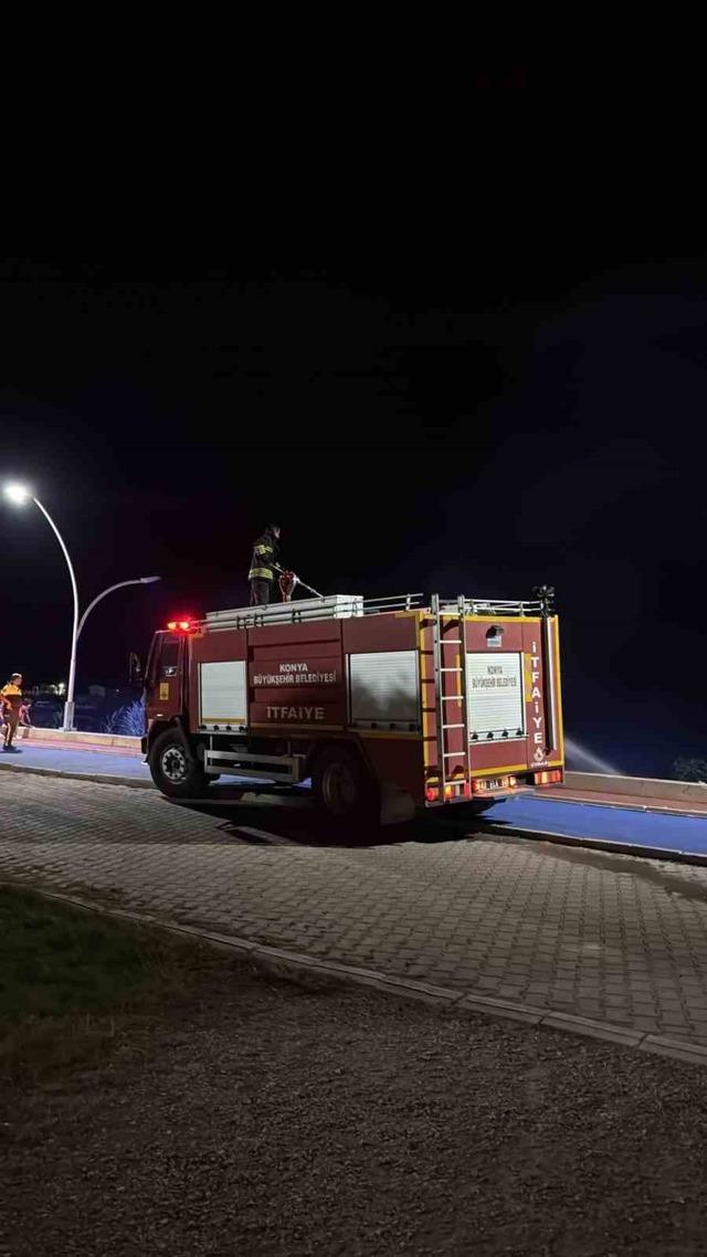 Beyşehir Gölü kenarında korkutan yangın 1