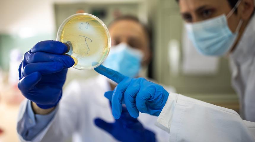 Dünya yeni kıskaçta: Süper böcekler... Antibiyotiğe dirençli, milyonlarca insanı öldürebilir! 2050'ye kadar...