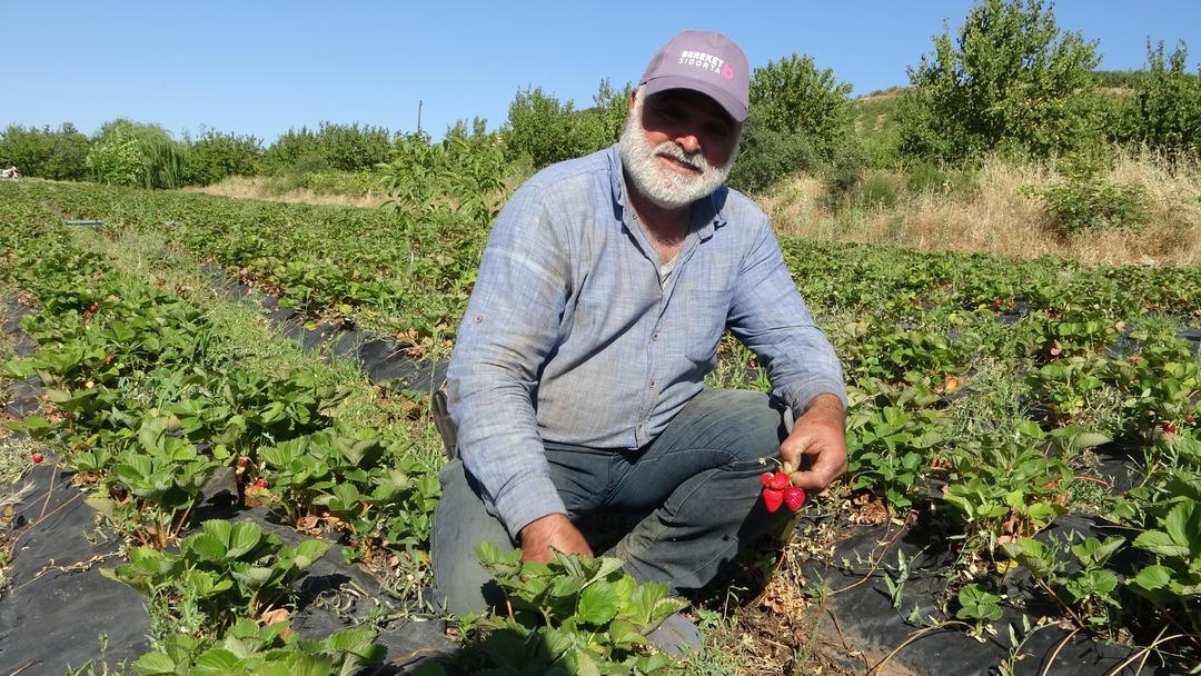 Siparişleri yetiştiremiyorlar! Kilosu 100 lira, Nisan da başladı 2