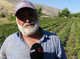 Siparişleri yetiştiremiyorlar! Kilosu 100 lira, Nisan'da başladı