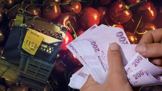 Ne et ne balık! Yaz aylarının vazgeçilmeziydi, kilosu 1000 TL'yi aştı