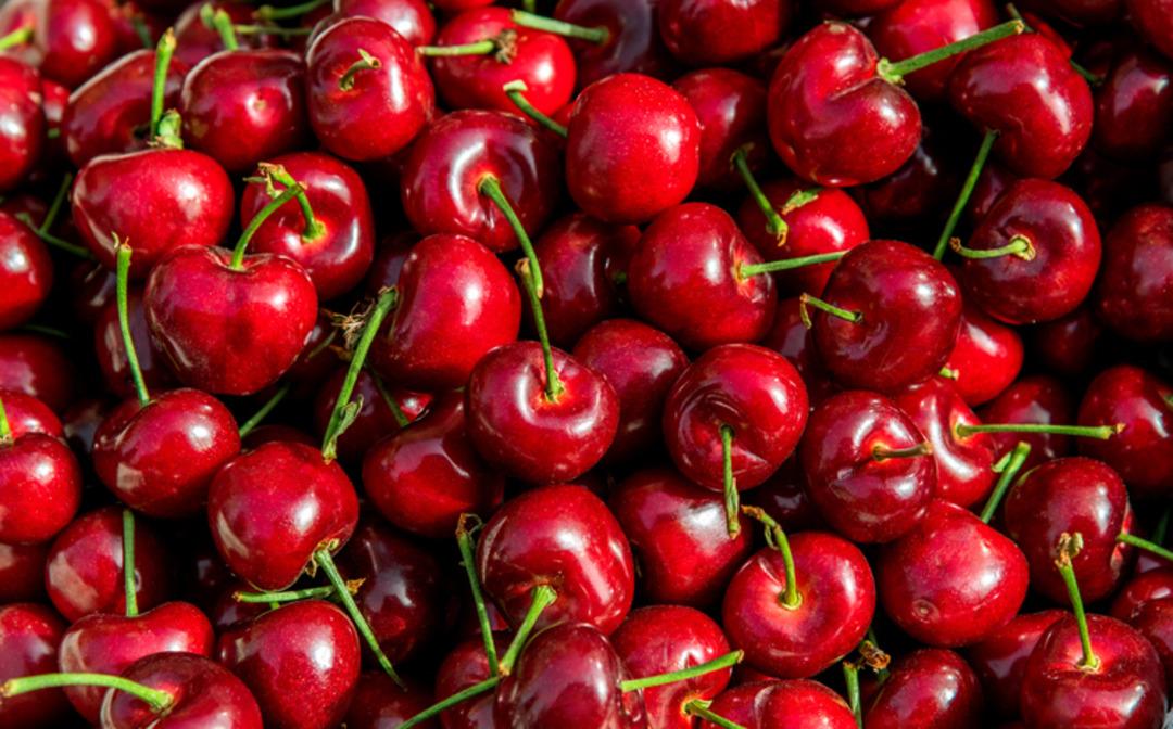 Ne et ne balık! Yaz aylarının vazgeçilmeziydi, kilosu 1000 TL yi aştı 1