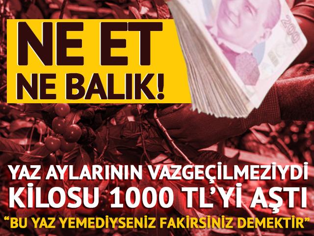 Ne et ne balık! Yaz aylarının vazgeçilmeziydi, kilosu 1000 TL'yi aştı