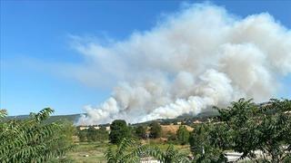 Bilecik Kurtköy'deki yangın kontrol altında