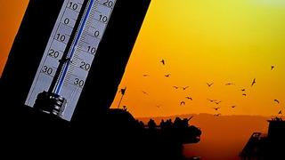 Zararlı ışınlara karşı koruma kalkanı! Yaz sıcağında uzmanlardan zırh gibi koruyacak doğal tavsiyeler...