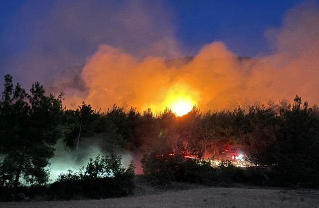 Sakarya'daki orman yangını Bilecik tarafına sıçradı