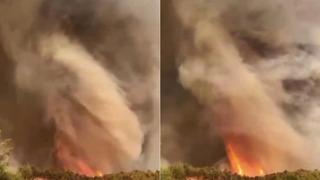 Sakarya'daki yangından çarpıcı görüntü! Alevler resmen hortum oluşturdu