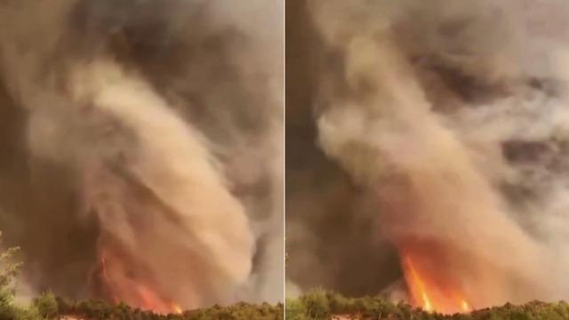 Sakarya'daki yangından çarpıcı görüntü! Alevler resmen hortum oluşturdu