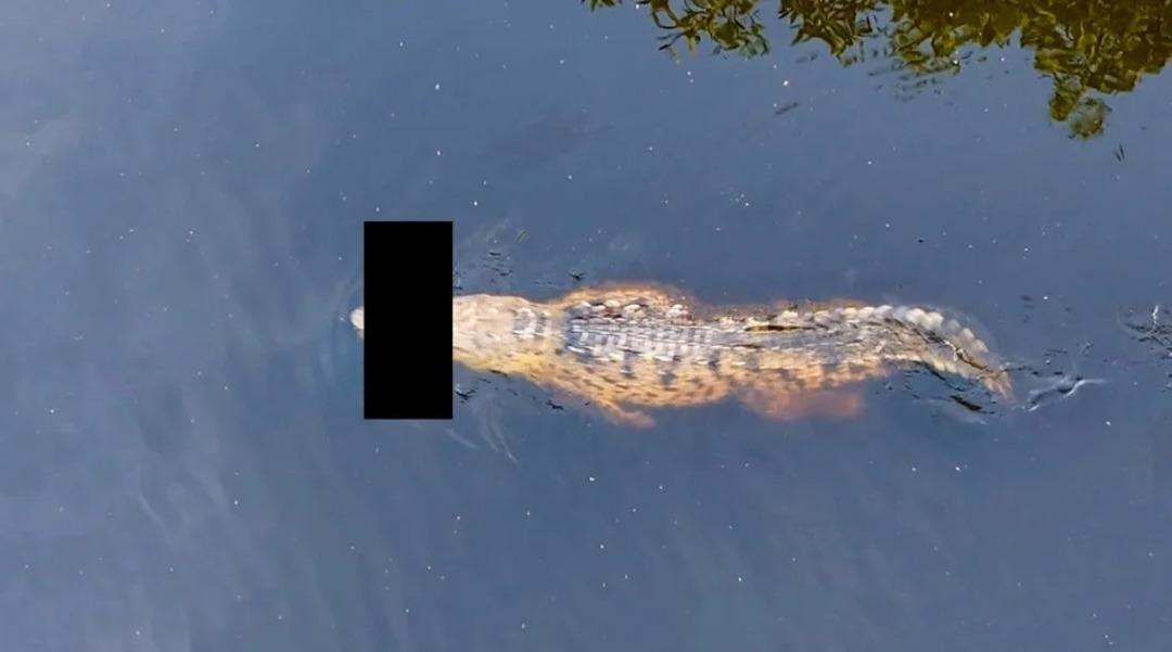 Ailesinin gözleri önünde parçalara ayrıldı! Küçük çocuğun feci ölümü dehşete düşürdü 2