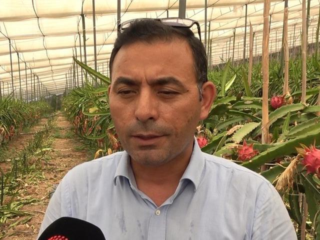 Faydası saymakla bitmiyor! Kilosu 200 lirayı buldu 