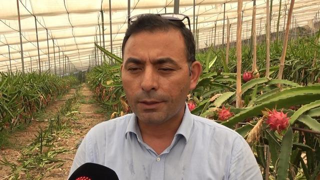 Faydası saymakla bitmiyor! Kilosu 200 lirayı buldu 