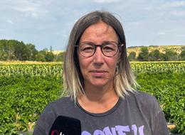 İstanbul'daki işinden istifa edip köye döndü! Onları satıp para kazanıyor