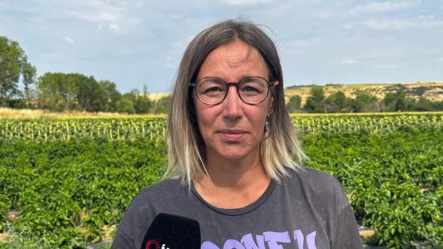 İstanbul'daki işinden istifa edip köye döndü! Onları satıp para kazanıyor