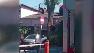 İstanbul'da bulunan Baltalimanı Kemik Hastanesinde yangın çıktı