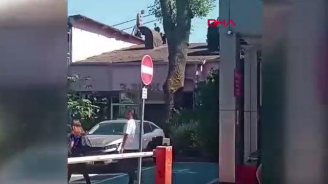 İstanbul'da bulunan Baltalimanı Kemik Hastanesinde yangın çıktı