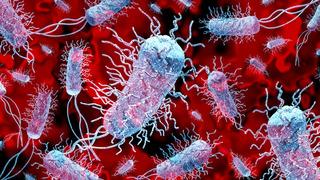 Süper böcek krizi! Dünyada alarm verildi: Ekonomiyi ve sağlığı tehdit ediyor! Ölümler %60 artabilir! Süper böcekler sessiz tehlike mi? Uzmanlar: Tüm dünyaya yayılabilir”