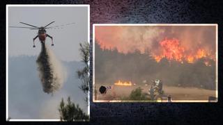 Sakarya'da, Bilecik'te, İzmir'de, Karabük'te ve Eskişehir'de orman yangını!