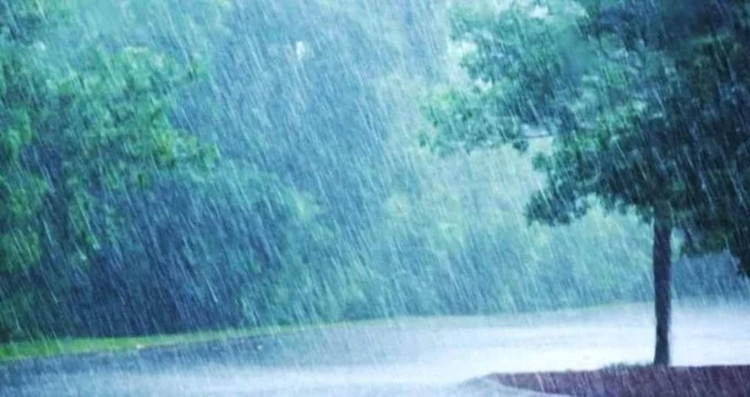 Doğu Karadeniz de sağanak alarmı: 6 il için kuvvetli yağış uyarısı 1