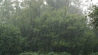 Doğu Karadeniz'de sağanak alarmı: 6 il için kuvvetli yağış uyarısı