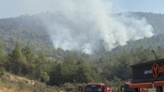 Sakarya'dan Bilecik tarafına sıçrayan orman yangınına 3. gününde müdahale sürüyor