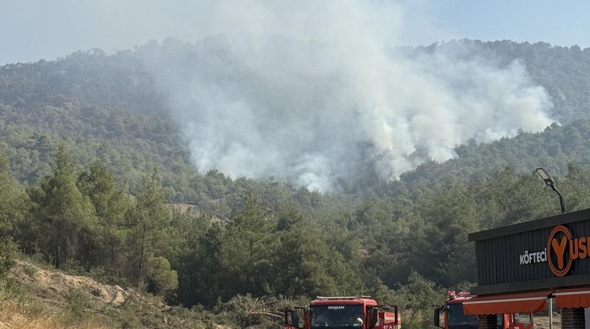 Sakarya'dan Bilecik tarafına sıçrayan orman yangınına 3. gününde müdahale sürüyor