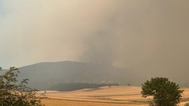 Bilecik'te yangın felaketi: Alevler köyleri yuttu, hayvanlar can verdi