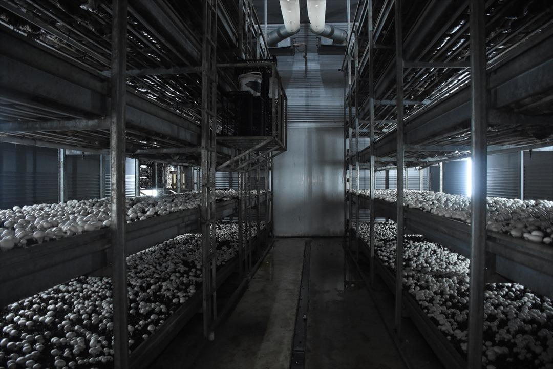 Ayda 15 ton satıyor! Memurdu, istifa edip kurdu  Fırsatı görünce...  5