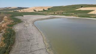 Tekirdağ'da su seviyesi düşen gölette oksijensiz kalan balıklar telef oldu