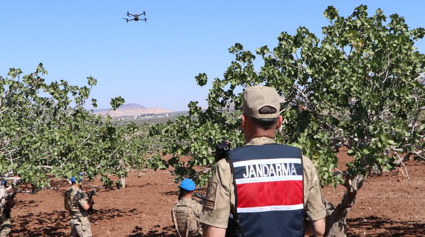 Kilis'te jandarmadan Antep fıstığı hırsızlığına karşı karadan ve havadan denetim
