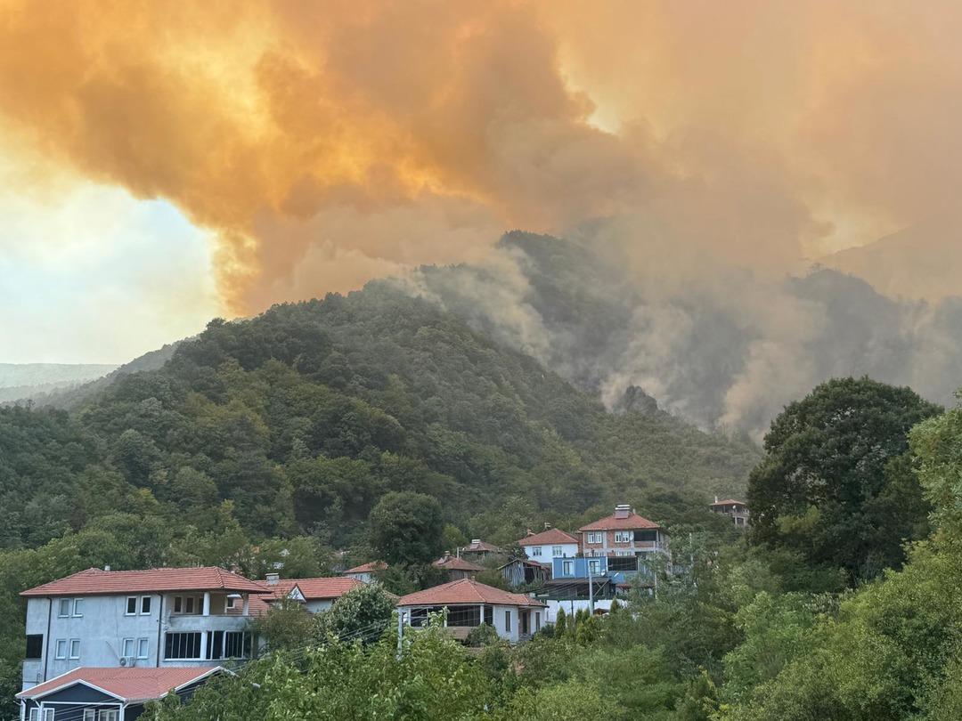 Sakarya da yeni orman yangını! Bilecik-Adapazarı istikametinde çift yönlü olarak trafiğe kapatıldı 5