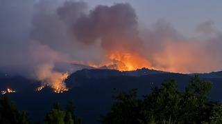 Siyasilerden orman yangınında şehit olan personeller için taziye mesajı
