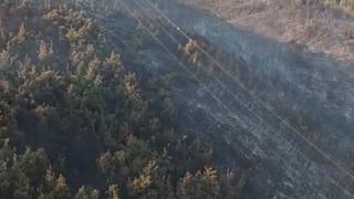 Manisa diken üstünde: Orman yangını 2. gününde devam ediyor