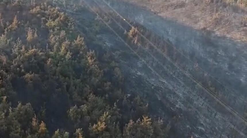 Manisa diken üstünde: Orman yangını 2. gününde devam ediyor