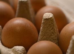 Yumurta ihracatında yeni dönem! Kesinti kaldırıldı