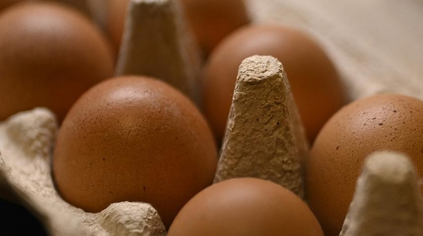 Yumurta ihracatında yeni dönem! Kesinti kaldırıldı