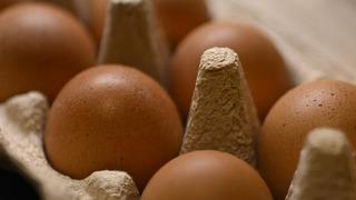 Yumurta ihracatında yeni dönem! Kesinti kaldırıldı