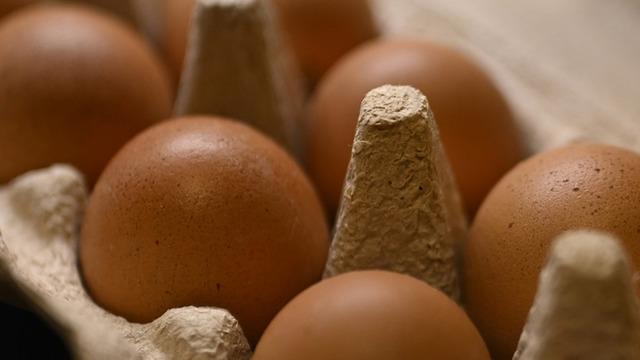 Yumurta ihracatında yeni dönem! Kesinti kaldırıldı