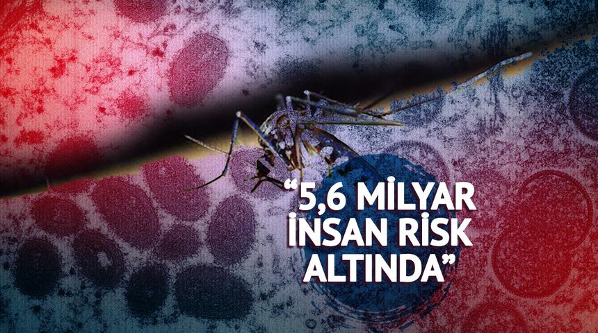 20 yıl sonra geri döndü, tedavisi yok! "5,6 milyar insan risk altında": Chikungunya virüsü tüm dünyayı tedirgin etti