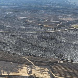 Tekirdağ yangınında alevlerin sıçradığı Çanakkale'de 85 hektar orman zarar gördü