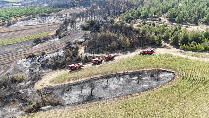 37 saat sürdü! Tekirdağ'dan Çanakkale'ye sıçrayan yangın sonrası kahreden manzara: 119 futbol sahası büyüklüğünde... G1