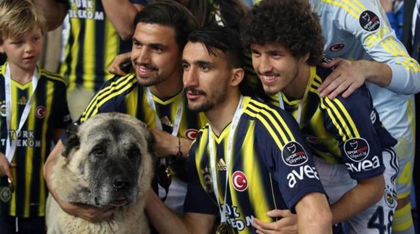 Mehmet Topuz'dan k&ouml;pek i&ccedil;in a&ccedil;ıklama