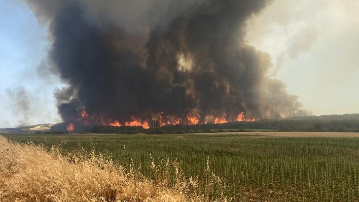 37 saat sürdü! Tekirdağ'dan Çanakkale'ye sıçrayan yangın sonrası kahreden manzara: 119 futbol sahası büyüklüğünde... G4